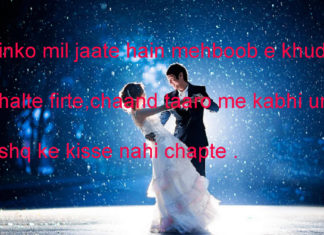 सियासत के शेयर मार्केट में सिक्के उछलते हैं funny shayari,