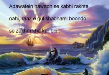 मत हँस देख कर बन्दे को मज़बूरी रही होगी one line thoughts on life in hindi,