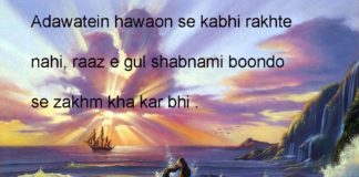 मत हँस देख कर बन्दे को मज़बूरी रही होगी one line thoughts on life in hindi,