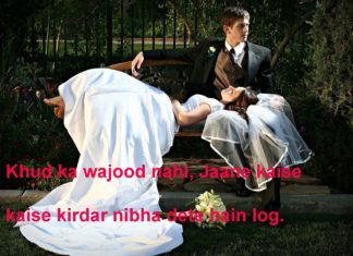 आईने में भी अब झुर्रियाँ नज़र आती हैं dard shayari,