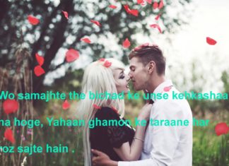 बुतक़दे सा लगता है मक़बरा तेरा romantic shayari,