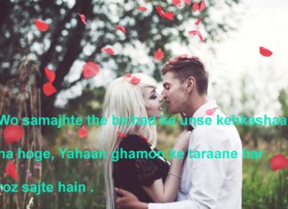 बुतक़दे सा लगता है मक़बरा तेरा romantic shayari, बुतक़दे सा लगता है मक़बरा तेरा romantic shayari,