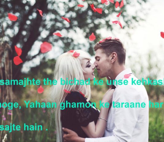 बुतक़दे सा लगता है मक़बरा तेरा romantic shayari,
