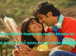 घरों की रोशनी के वास्ते ही चरागों को जलाये रखता shayari in hindi,