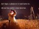 फ़ितरतन दिल तो बस आवारा है romantic shayari,
