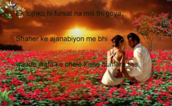 गरूर ए शान से उठता है सर जब उसके आगे 2line attitude shayari ,