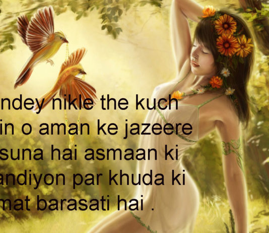 गरीबों के लिए कभी कोई सरकार नहीं बनती dosti shayari,