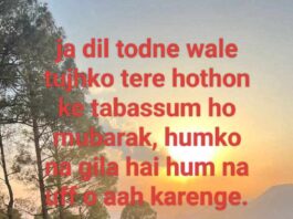 नज़ूल की ज़मीन पर सारा शहर बना रखा है Alfaaz shayari,