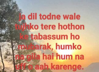नज़ूल की ज़मीन पर सारा शहर बना रखा है Alfaaz shayari, नज़ूल की ज़मीन पर सारा शहर बना रखा है Alfaaz shayari,
