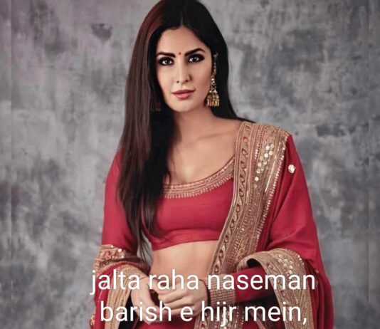 जश्न ए आज़ादी में जाने कैसे कैसे कमाल हो गए patriotic poetry ,