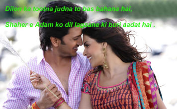 उतरेगा जूनून ए मोहब्बत तेरे भी सर से romantic shayari,