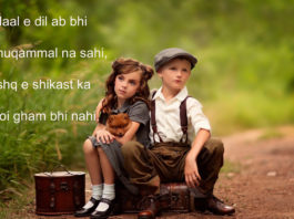 किसी की क़िस्मत किसी का सहारा होता Alfaaz shayari,