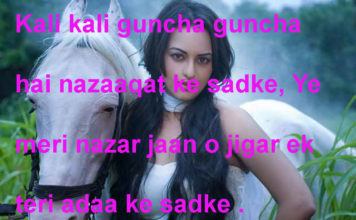 हाल ए दिल से बड़े बेचैन लगते हैं जनाब friendship shayari in hindi, हाल ए दिल से बड़े बेचैन लगते हैं जनाब friendship shayari in hindi,