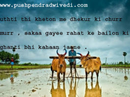 उठती थी खेतों में ढेंकुर की चुर्र मुर hindi literature poetry,