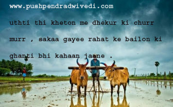 उठती थी खेतों में ढेंकुर की चुर्र मुर hindi literature poetry, उठती थी खेतों में ढेंकुर की चुर्र मुर hindi literature poetry,