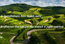 रात की बंदिशें हों लाख सही inspirational quotes,