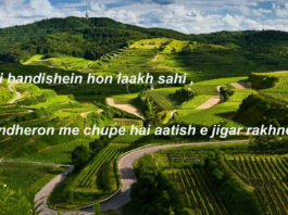 रात की बंदिशें हों लाख सही inspirational quotes in hindi ,