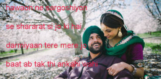 बर्बाद ए मोहब्बत की ख़ातिर गली कूचों की भी गवाही हो bewafa shayari,