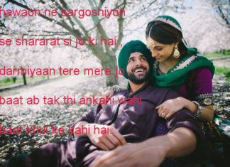बर्बाद ए मोहब्बत की ख़ातिर गली कूचों की भी गवाही हो bewafa shayari, बर्बाद ए मोहब्बत की ख़ातिर गली कूचों की भी गवाही हो bewafa shayari,
