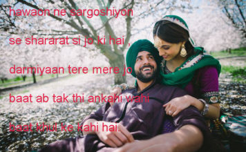 बर्बाद ए मोहब्बत की ख़ातिर गली कूचों की भी गवाही हो bewafa shayari,
