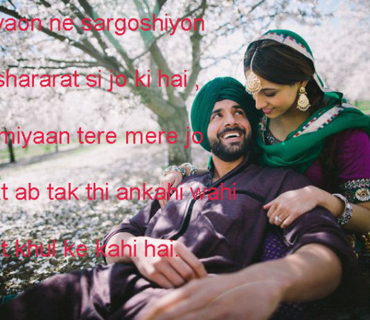 बर्बाद ए मोहब्बत की ख़ातिर गली कूचों की भी गवाही हो bewafa shayari,