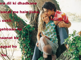 गिरफ़्त कर दे ढीली तो कुछ और जी लें जीने वाले romantic shayari,