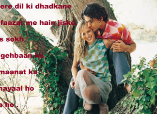 गिरफ़्त कर दे ढीली तो कुछ और जी लें जीने वाले romantic shayari, गिरफ़्त कर दे ढीली तो कुछ और जी लें जीने वाले romantic shayari,