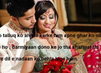 मुलाज़िमों की तरह सजा के रखे हैं बुत अज़ायब घरों में hindi shayari ,