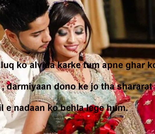 मुलाज़िमों की तरह सजा के रखे हैं बुत अज़ायब घरों में hindi shayari ,