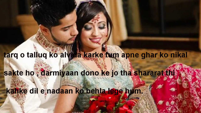 मुलाज़िमों की तरह सजा के रखे हैं बुत अज़ायब घरों में hindi shayari ,