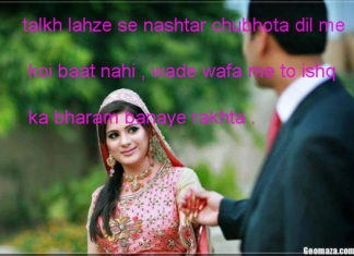 तल्ख़ लहज़े से नश्तर चुभोता दिल में कोई बात नहीं funny shayari , तल्ख़ लहज़े से नश्तर चुभोता दिल में कोई बात नहीं funny shayari ,