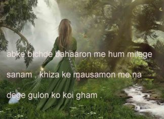 इतर फुलेल लगा कर सियासी शख्सियत छुपायेगा कब तलक funny political shayari , इतर फुलेल लगा कर सियासी शख्सियत छुपायेगा कब तलक funny political shayari ,