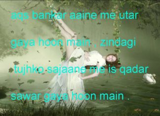 अक़्स बनकर आईने में उतर गया हूँ मैं one line thoughts on life in hindi,