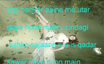 अक़्स बनकर आईने में उतर गया हूँ मैं one line thoughts on life in hindi,