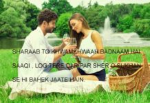 वर्क़ खोले हैं तो हाल ए दिल ही मुक़म्मल कर दें sad shayari ,