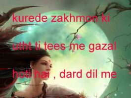 तारीफ़ ए हुस्न किसको मंज़ूर नहीं होती love shayari,