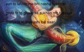 दिल ए फ़ानी की हिमाक़तें तो देखो मोहसिन funny political shayari ,