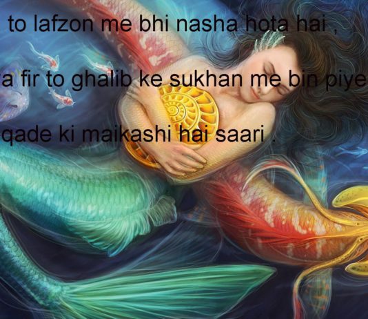 दिल ए फ़ानी की हिमाक़तें तो देखो मोहसिन funny political shayari ,