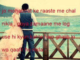 हिंदुस्तान के बापू की फोटो नोटों में छपती है funny political shayari ,