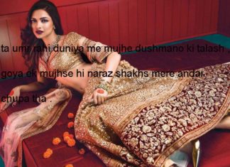 शब् ए महताब हसरतें दिल की निकल रही हैं बारी बारी shayari in hindi,