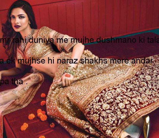 शब् ए महताब हसरतें दिल की निकल रही हैं बारी बारी shayari in hindi,
