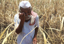 farmers situation in india truthful short story ,