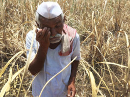 farmers situation in india truthful short story ,