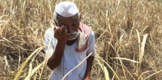 farmers situation in india truthful short story ,