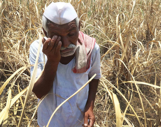 farmers situation in india truthful short story hindi ,