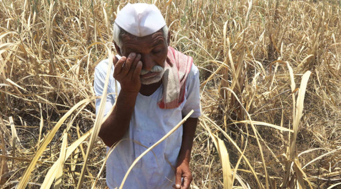 farmers situation in india truthful short story ,