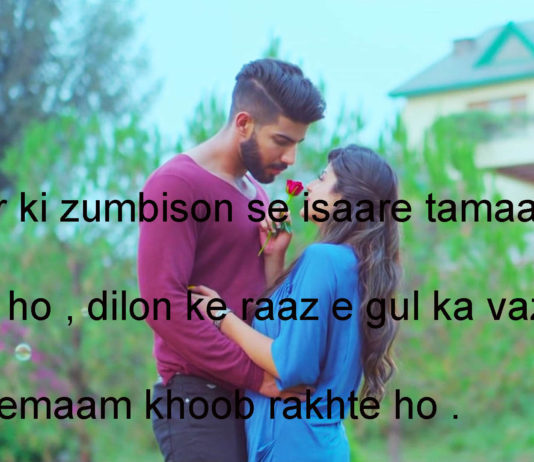 सारे शेर ही बचे हैं जिगर के टुकड़ों में sad shayari,