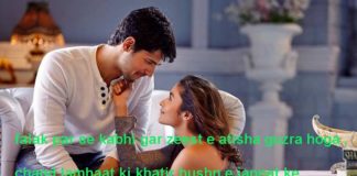 बड़े नाज़ुक से दिल में बड़े नाज़ुक ख़्याल रखते हैं Alfaaz shayari,