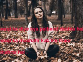 मोहब्बत की ख़ुशी है चंद लम्हात में बिखर जाएगी alfaaz shayari,