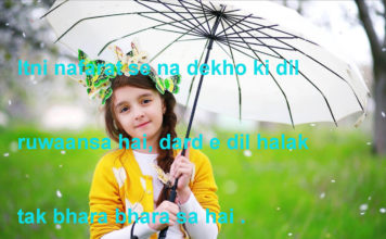 दिल ए फ़ितना और तलाश ए इश्क़ है मंज़िल ए मक़सूद alfaaz shayari ,